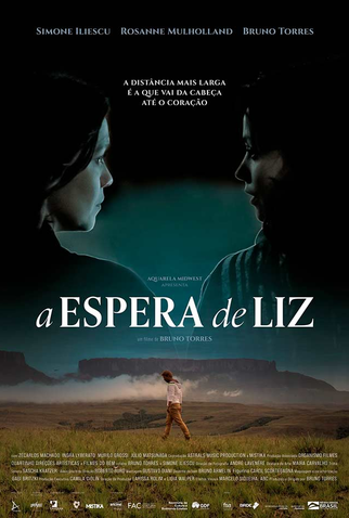 Poster 1 de Filme A Espera de Liz (2019)