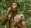 A Clearing in the Jungle