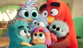 'Angry Birds 3: O Filme' ganha primeiro trailer; Assista!