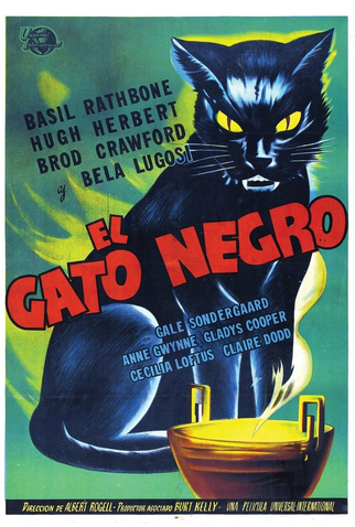 Poster 4 de Filme O Gato Negro (1941)
