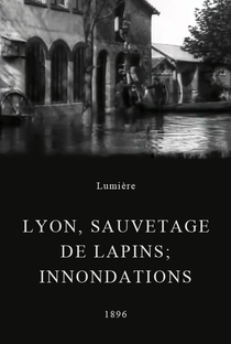 Lyon, sauvetage de lapins; innondations - Poster / Capa / Cartaz - Oficial 1