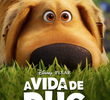 Dug Days