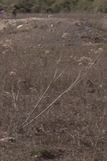 Sequizágua (Sequizágua)