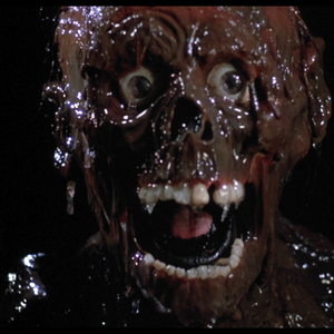 Foto de perfil de FMS