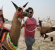 ¡Llamas, llamas, llamas!