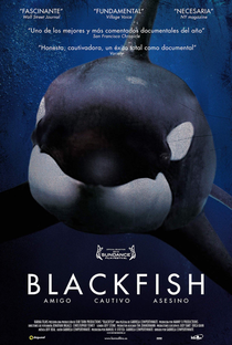 Blackfish: Fúria Animal - Poster / Capa / Cartaz - Oficial 2