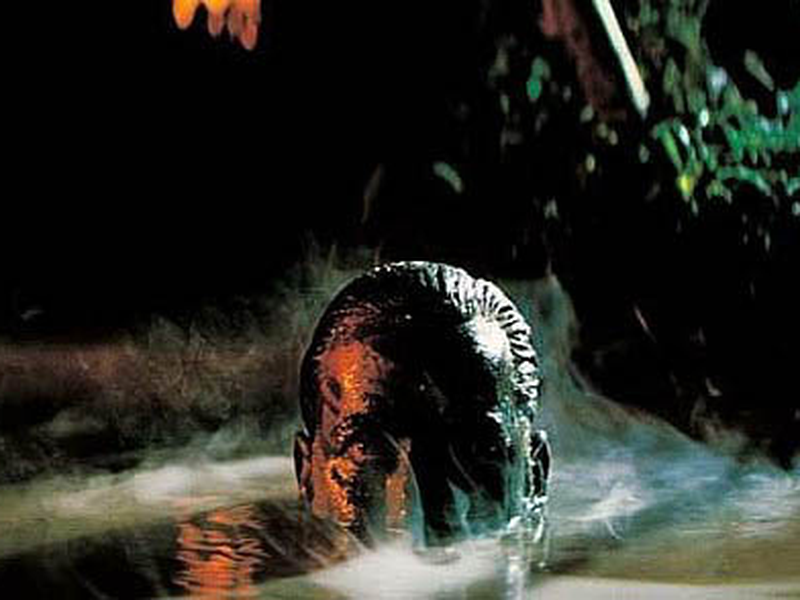 Foto 2 de Apocalypse Now