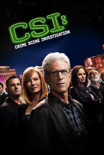 CSI: Investigação Criminal (13ª Temporada) - Poster / Capa / Cartaz - Oficial 2