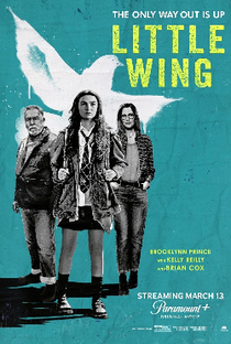 Little Wing - Poster / Capa / Cartaz - Oficial 1