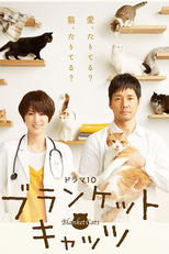 Blanket Cats (ブランケット・キャッツ)