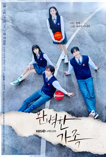 Perfect Family - Poster / Capa / Cartaz - Oficial 2