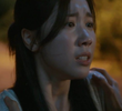 11회