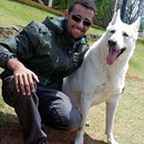 Foto de perfil de Everton