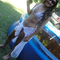 Foto de Vanessa Monteiro Oliveira