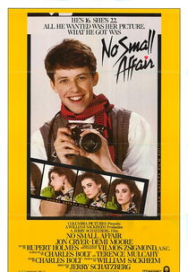 Um Caso Muito Sério (No Small Affair)