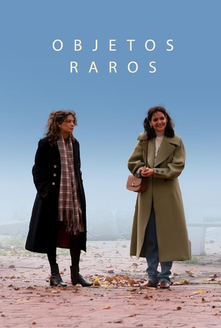 Poster 2 de Filme Objetos Raros (2023)