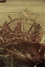 The Emblazoned Apparitions (The Emblazoned Apparitions)