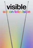 Visible: Out on Television (Visible: Out on Television)