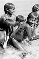 A Destruição do Índio: O Coração da Floresta (The Destruction of the Indian: The Heart of the Forest)