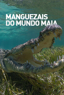 Manguezais do Mundo Maia - Poster / Capa / Cartaz - Oficial 1