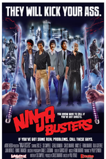 Dois Lutadores do Barulho (Ninja Busters)