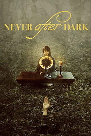 Poster 1 de Filme Never After Dark (2026)