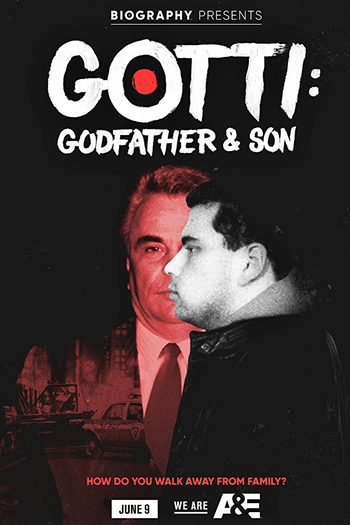 Poster de Série Máfia Gotti: Pai e Filho (2018)