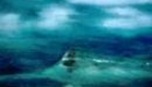 El viejo y el mar (The old man and the sea)- Excerpt