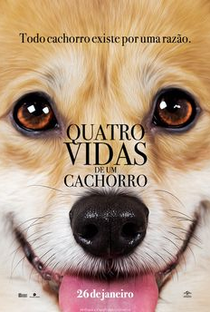 Quatro Vidas de Um Cachorro - Poster / Capa / Cartaz - Oficial 8