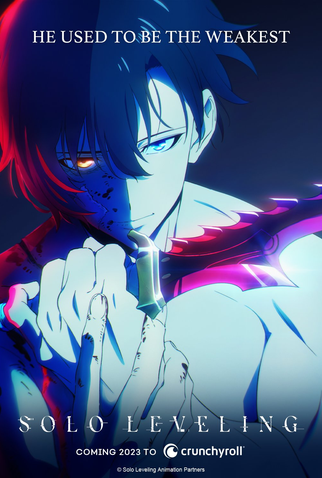 Poster 2 de Série Solo Leveling (1ª Temporada) (2024)
