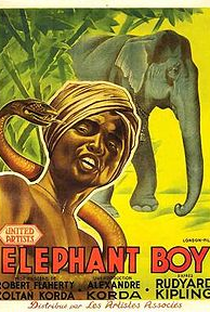 O Menino e o Elefante - Poster / Capa / Cartaz - Oficial 1