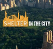 Shelter in the City