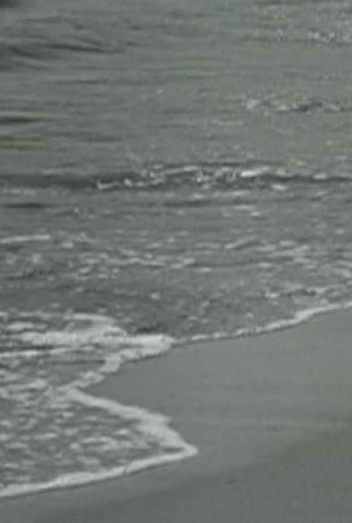 Poster 1 de Curta Surf and Seaweed (1931)