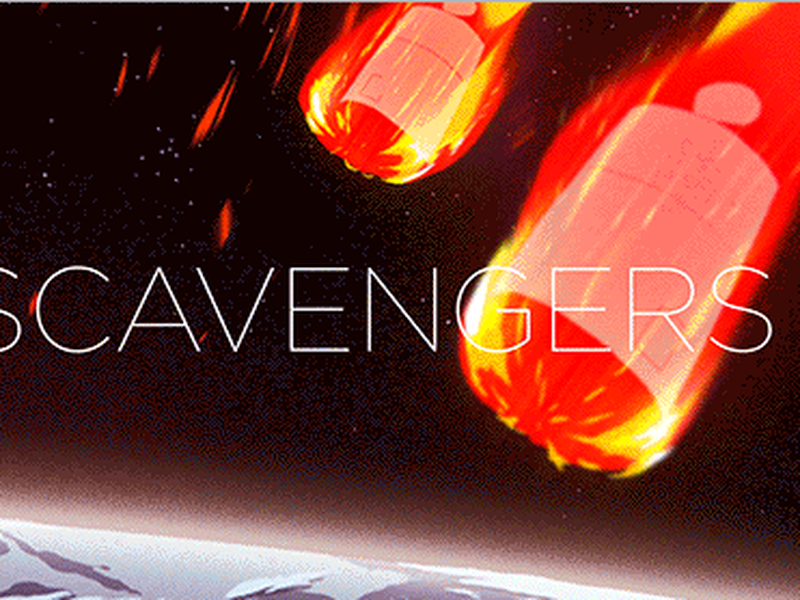 Foto 1 de Escaravelhos