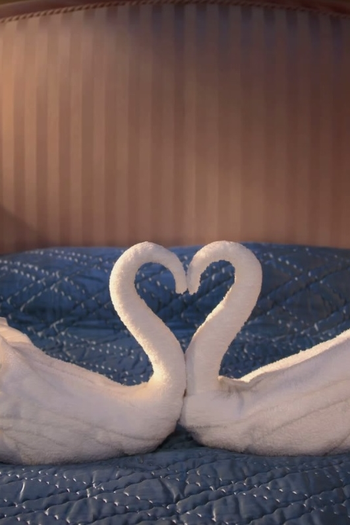 Poster de Curta Swan Song (2014)