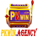 Foto de perfil de Pkwin