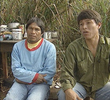 Índios no Brasil - Nossos direitos