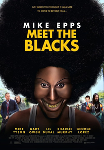 Uma Noite com a Família Blacks (Meet the Blacks)