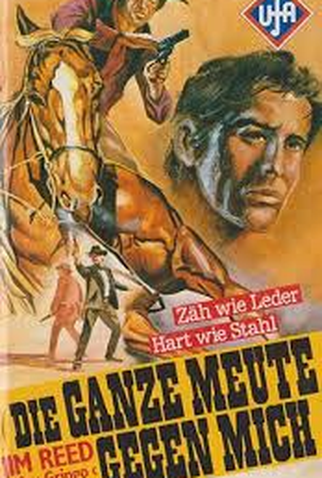 Poster 4 de Filme O implacável colt de Gringo (1966)