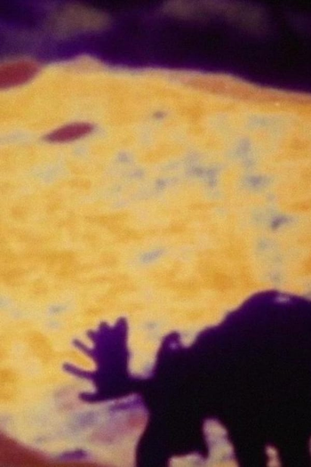 Poster de Curta Moose Mountain (2002)