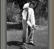 The Golf Specialist