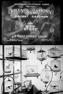 The Bird Store - Poster / Capa / Cartaz - Oficial 1