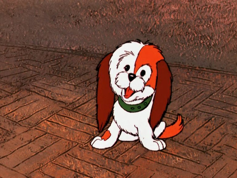 Foto 4 de Junior and Karlson