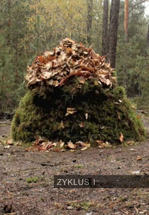 Zyklus I (Zyklus I)