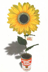 A Sintomática Narrativa de Constantino (A Sintomática Narrativa de Constantino)