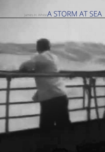 A Storm at Sea (A Storm at Sea)