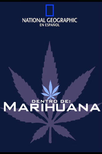 Poster de Filme Bastidores (2011)