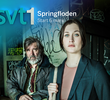Springfloden