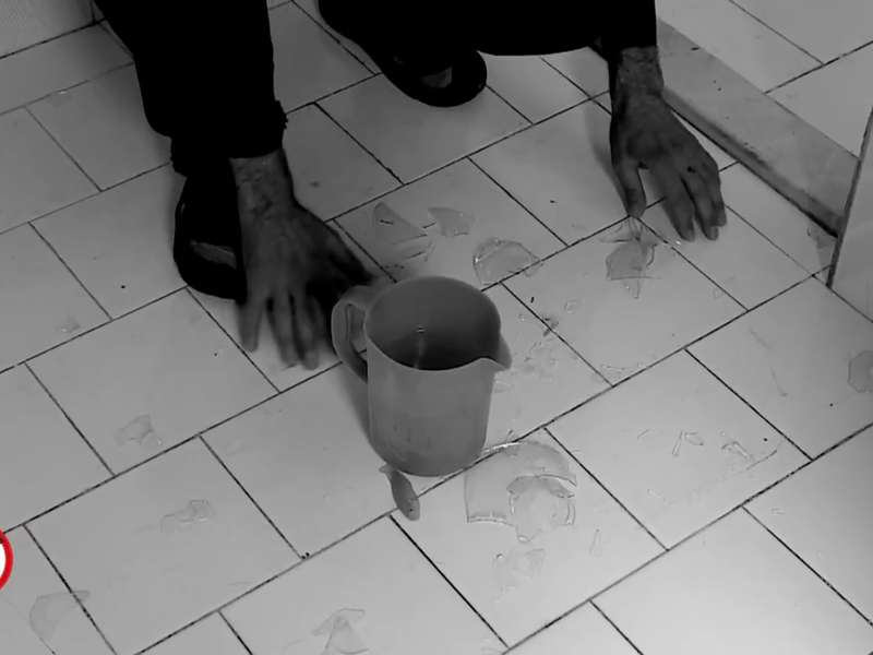 Foto 5 de The Fish and I