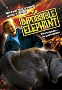 O Incrível Elefante (The Incredible Elephant)